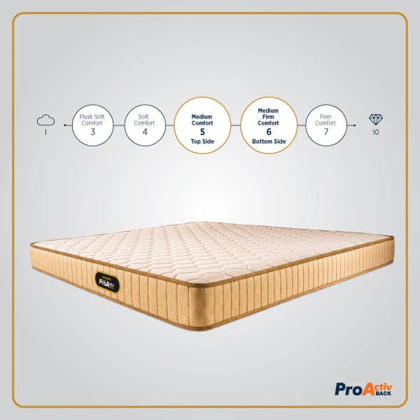 ProActiv Back Mattress