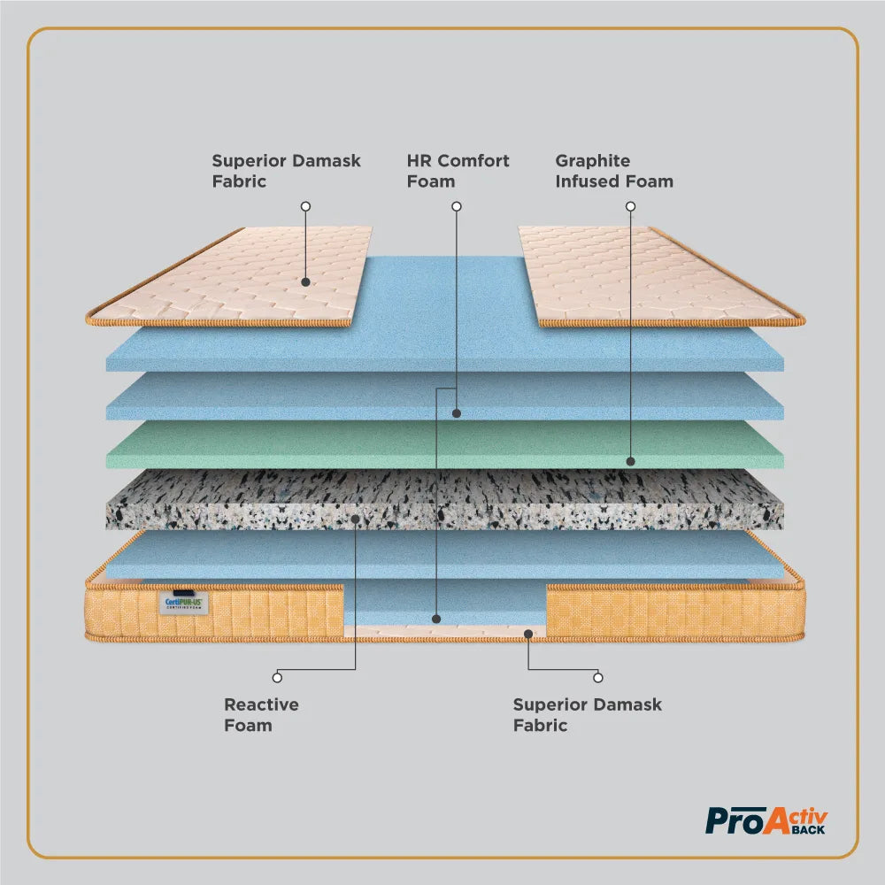 ProActiv Back Mattress