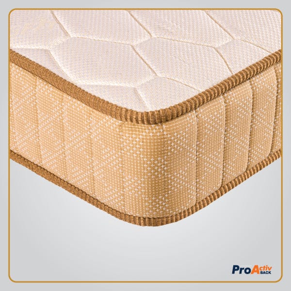 ProActiv Back Mattress